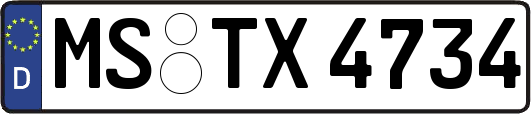 MS-TX4734