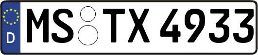 MS-TX4933