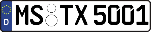 MS-TX5001