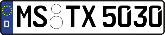 MS-TX5030