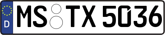 MS-TX5036