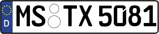 MS-TX5081