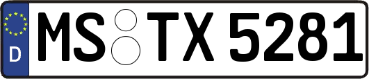 MS-TX5281
