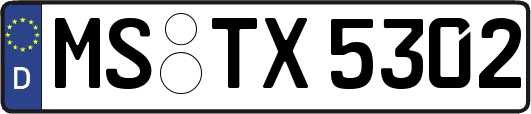MS-TX5302