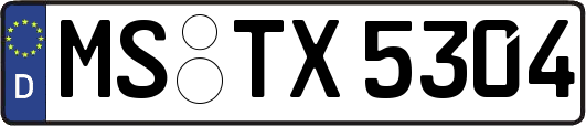 MS-TX5304