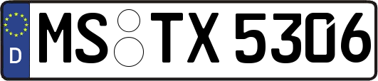 MS-TX5306