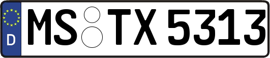 MS-TX5313
