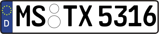 MS-TX5316