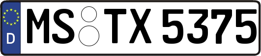 MS-TX5375
