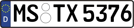 MS-TX5376