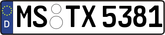 MS-TX5381