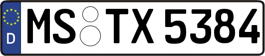 MS-TX5384