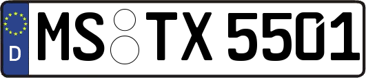 MS-TX5501