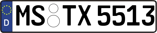 MS-TX5513