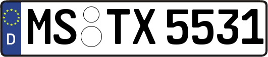 MS-TX5531