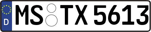 MS-TX5613
