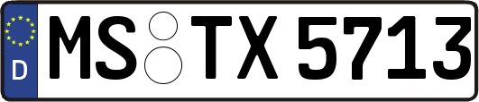 MS-TX5713