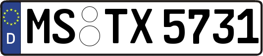 MS-TX5731