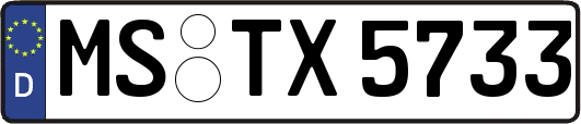 MS-TX5733