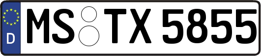 MS-TX5855