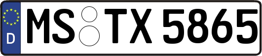 MS-TX5865