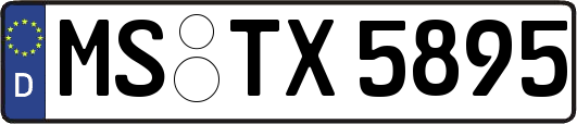 MS-TX5895