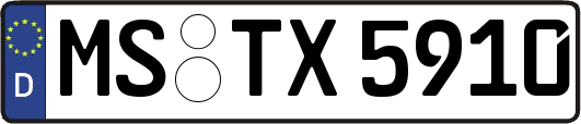 MS-TX5910