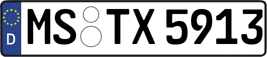 MS-TX5913