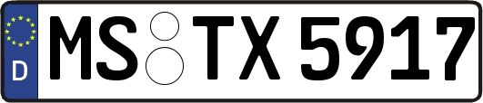 MS-TX5917