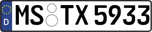 MS-TX5933