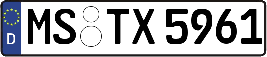 MS-TX5961