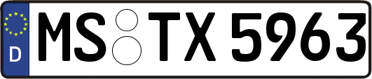 MS-TX5963
