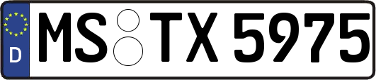 MS-TX5975
