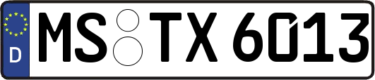 MS-TX6013