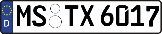 MS-TX6017