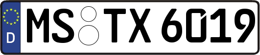 MS-TX6019