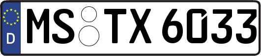 MS-TX6033