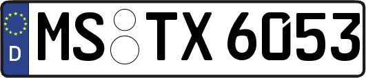 MS-TX6053