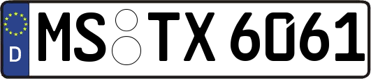MS-TX6061