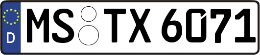 MS-TX6071