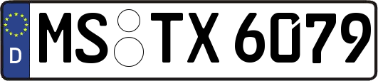 MS-TX6079