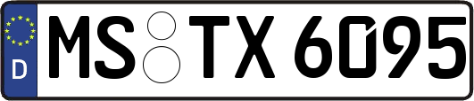 MS-TX6095