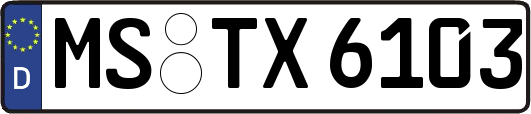 MS-TX6103