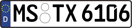 MS-TX6106