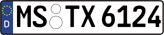 MS-TX6124