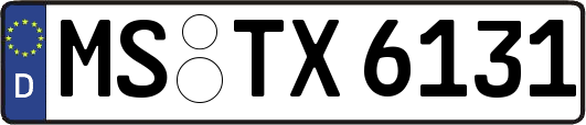 MS-TX6131
