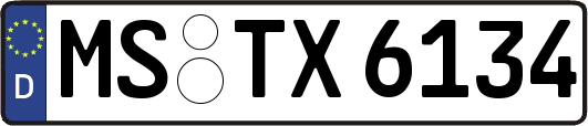 MS-TX6134