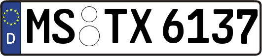MS-TX6137