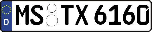 MS-TX6160
