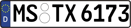MS-TX6173